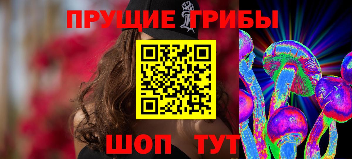 Хасавюрт  Псилоцибиновые грибы GOLDEN TEACHER  Вход с VPN 