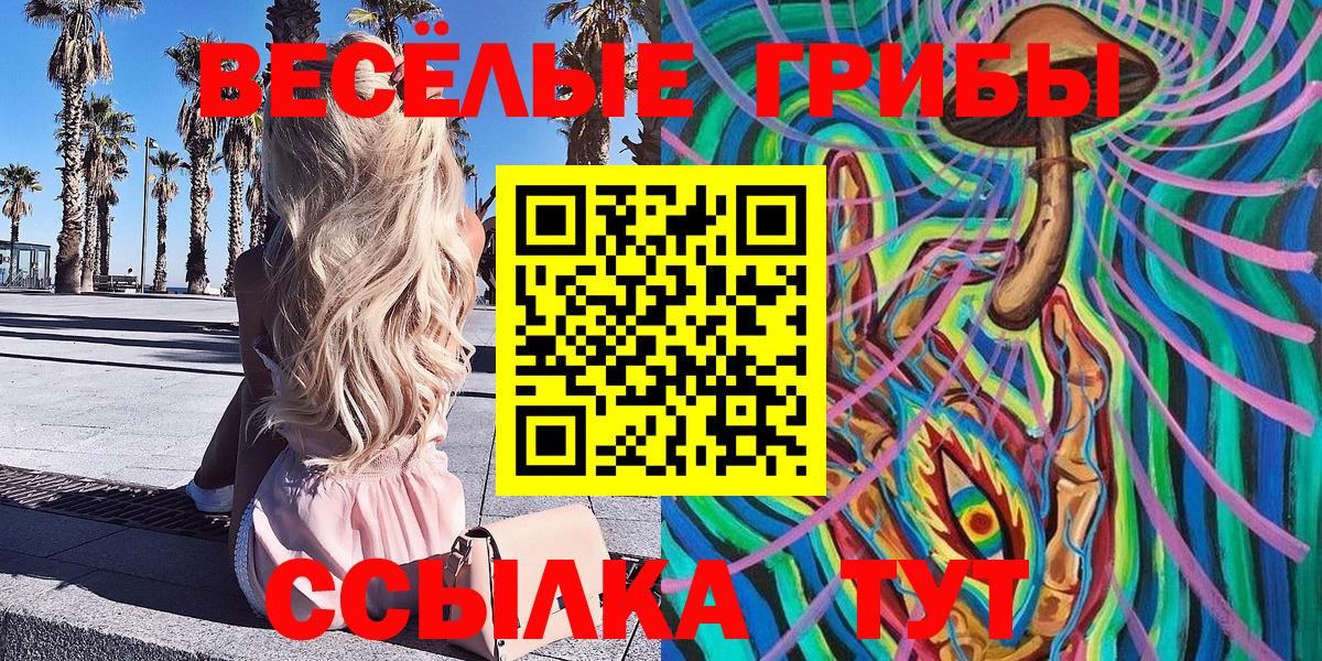 Псилоцибиновые грибы GOLDEN TEACHER Хасавюрт